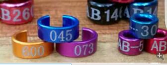 UV-GGH-3